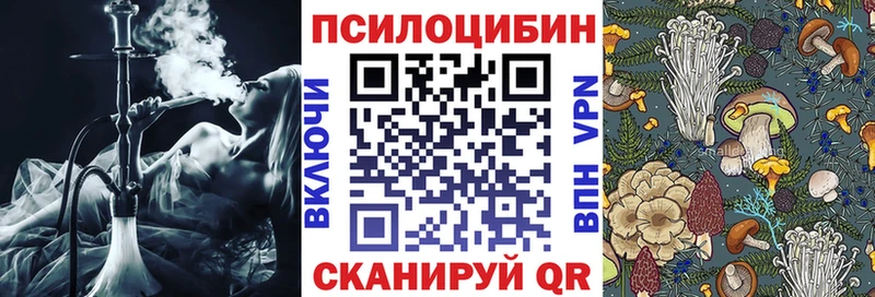 Галлюциногенные грибы Psilocybe Коркино