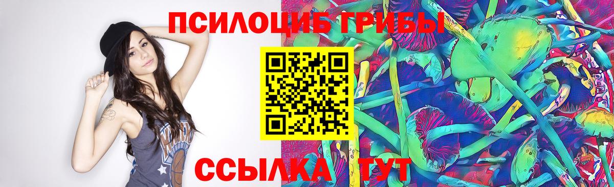 Коркино  Галлюциногенные грибы Psilocybine cubensis  Вход с VPN 